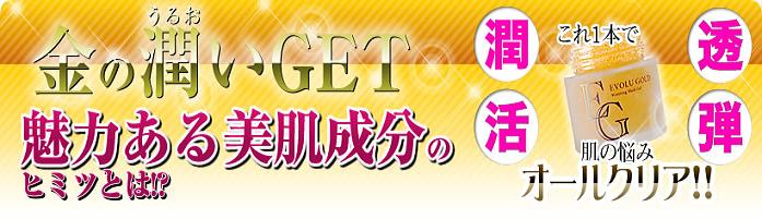 �G�{�����[�S�[���h�@����