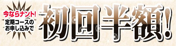 �G�{�����[�S�[���h�@����