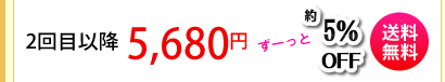 �G�{�����[�S�[���h�@����