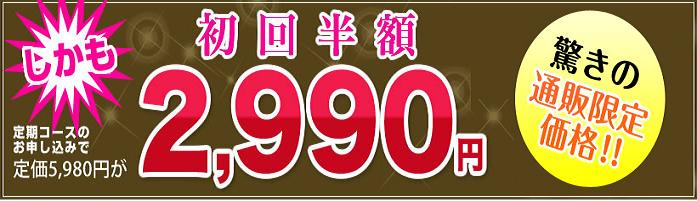 �G�{�����[�S�[���h�@����